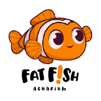 Fat Fish